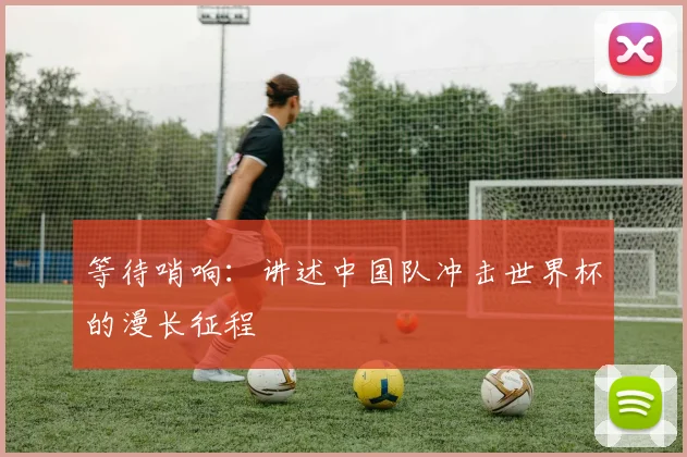 等待哨响：讲述中国队冲击世界杯的漫长征程