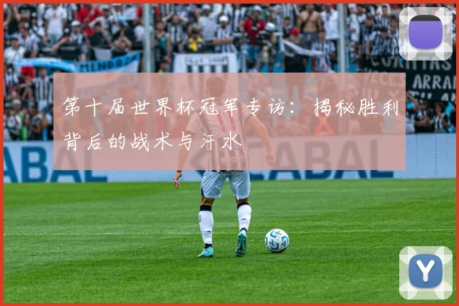 第十届世界杯冠军专访：揭秘胜利背后的战术与汗水