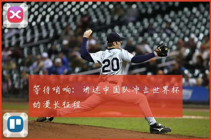 等待哨响：讲述中国队冲击世界杯的漫长征程