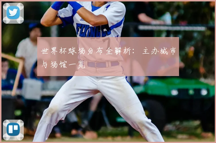 世界杯球场分布全解析：主办城市与场馆一览