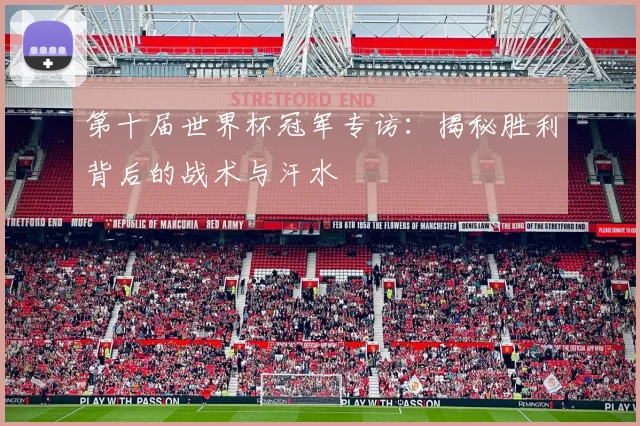 第十届世界杯冠军专访：揭秘胜利背后的战术与汗水
