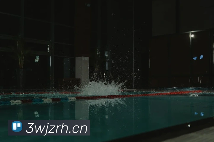 星空官方体育入口平台生态图